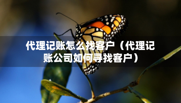 代理記賬怎么找客戶（代理記賬公司如何尋找客戶）