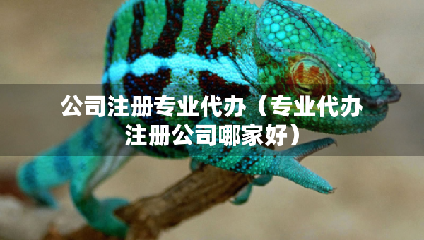 公司注冊專業(yè)代辦（專業(yè)代辦注冊公司哪家好）
