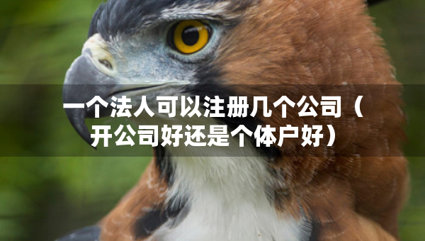 一個(gè)法人可以注冊(cè)幾個(gè)公司（開(kāi)公司好還是個(gè)體戶好）