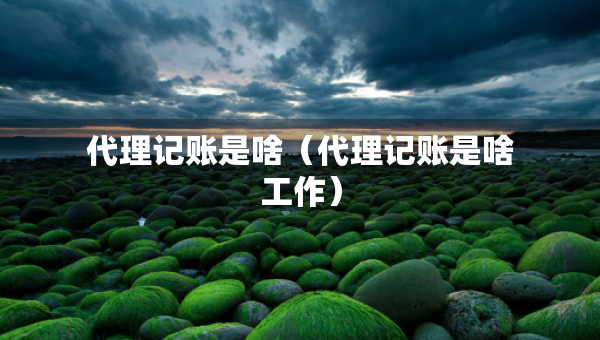 代理記賬是啥（代理記賬是啥工作）