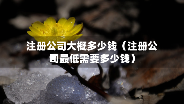 注冊(cè)公司大概多少錢（注冊(cè)公司最低需要多少錢）