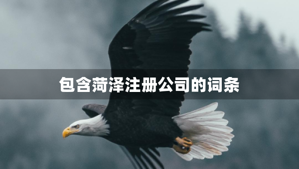包含菏澤注冊公司的詞條