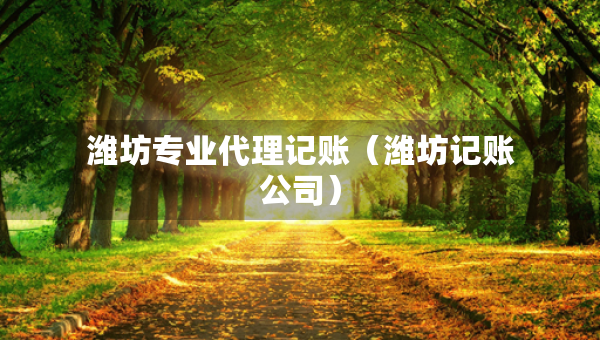 濰坊專業(yè)代理記賬（濰坊記賬公司）