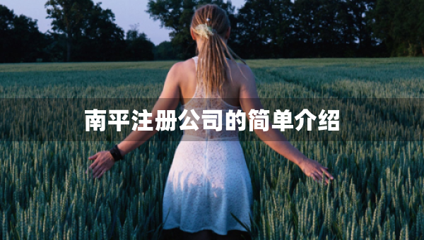 南平注冊公司的簡單介紹