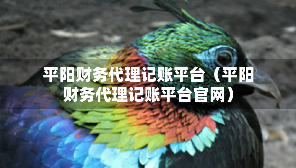 平陽財務(wù)代理記賬平臺（平陽財務(wù)代理記賬平臺官網(wǎng)）