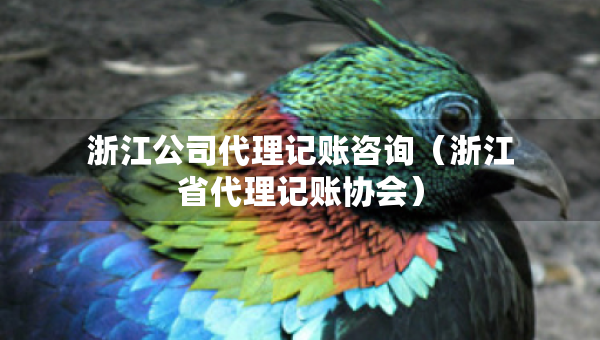 浙江公司代理記賬咨詢（浙江省代理記賬協(xié)會(huì)）