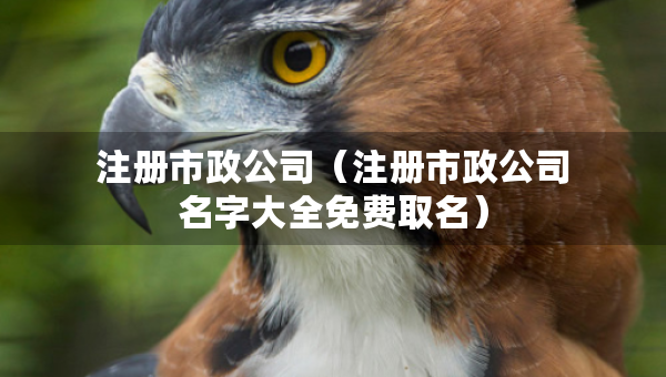 注冊(cè)市政公司（注冊(cè)市政公司名字大全免費(fèi)取名）