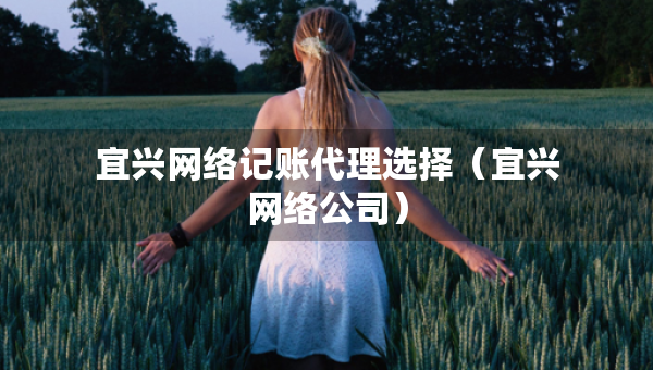宜興網(wǎng)絡(luò)記賬代理選擇（宜興網(wǎng)絡(luò)公司）