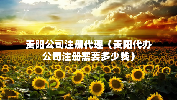 貴陽公司注冊代理（貴陽代辦公司注冊需要多少錢）