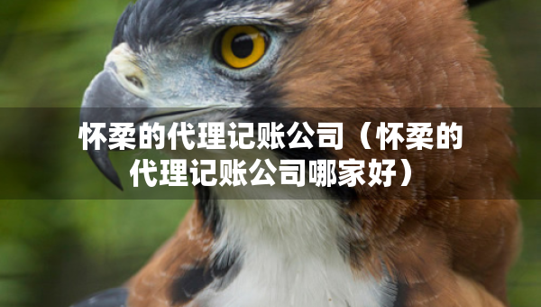 懷柔的代理記賬公司（懷柔的代理記賬公司哪家好）