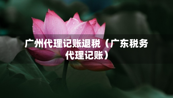 廣州代理記賬退稅（廣東稅務代理記賬）