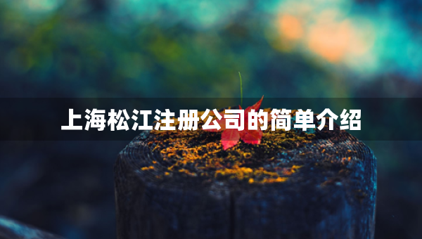 上海松江注冊公司的簡單介紹