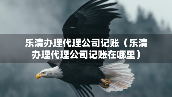 樂清辦理代理公司記賬（樂清辦理代理公司記賬在哪里）