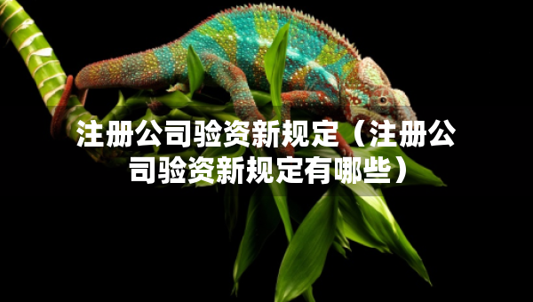 注冊(cè)公司驗(yàn)資新規(guī)定（注冊(cè)公司驗(yàn)資新規(guī)定有哪些）