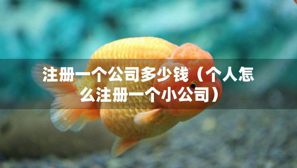 注冊一個公司多少錢（個人怎么注冊一個小公司）