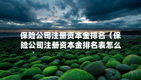 保險公司注冊資本金排名（保險公司注冊資本金排名表怎么看）