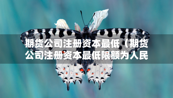 期貨公司注冊(cè)資本最低（期貨公司注冊(cè)資本最低限額為人民幣多少萬(wàn)元）