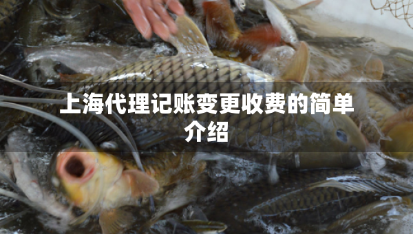 上海代理記賬變更收費的簡單介紹