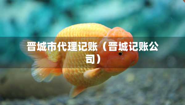 晉城市代理記賬（晉城記賬公司）