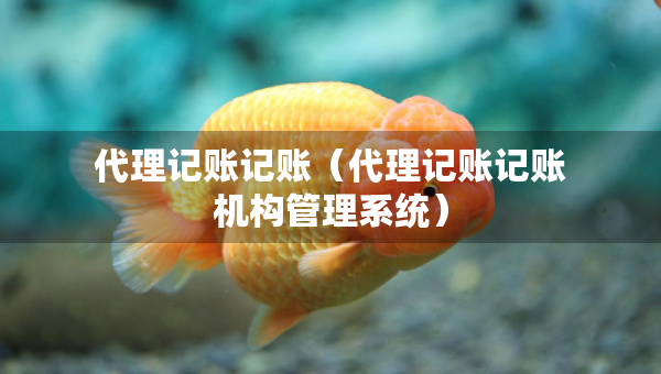 代理記賬記賬（代理記賬記賬機構管理系統(tǒng)）