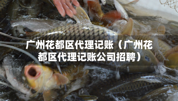 廣州花都區(qū)代理記賬（廣州花都區(qū)代理記賬公司招聘）