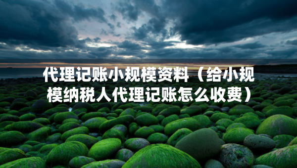 代理記賬小規(guī)模資料（給小規(guī)模納稅人代理記賬怎么收費(fèi)）
