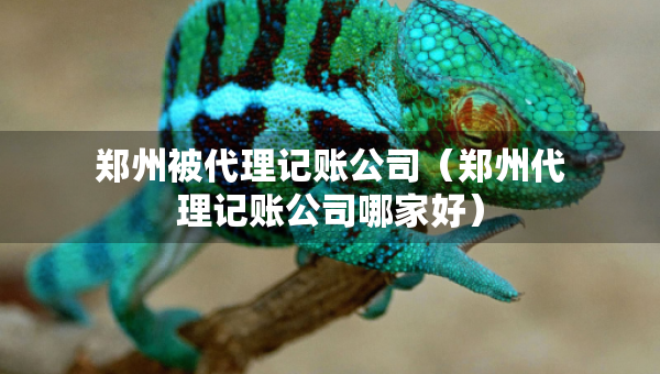 鄭州被代理記賬公司（鄭州代理記賬公司哪家好）