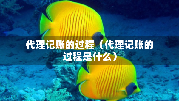 代理記賬的過程（代理記賬的過程是什么）