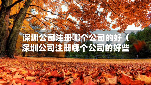 深圳公司注冊哪個(gè)公司的好（深圳公司注冊哪個(gè)公司的好些）
