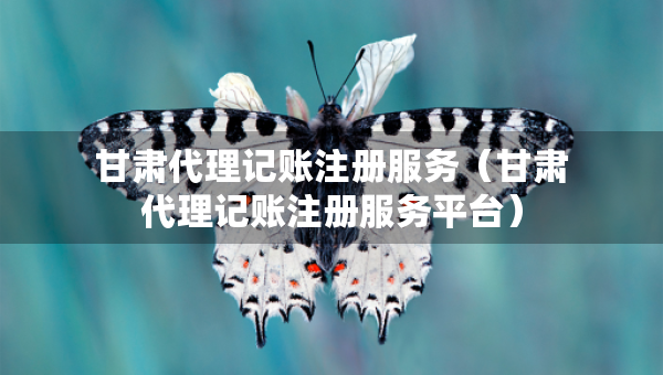 甘肅代理記賬注冊服務（甘肅代理記賬注冊服務平臺）