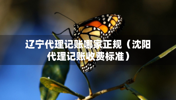 遼寧代理記賬哪家正規(guī)（沈陽代理記賬收費標準）