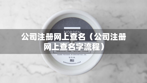 公司注冊(cè)網(wǎng)上查名（公司注冊(cè)網(wǎng)上查名字流程）