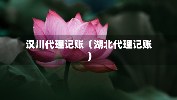 漢川代理記賬（湖北代理記賬）