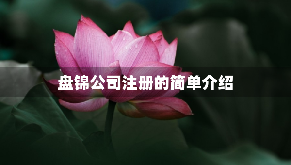 盤錦公司注冊的簡單介紹