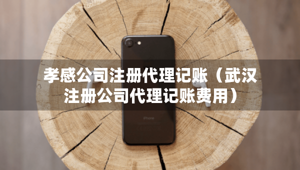 孝感公司注冊代理記賬（武漢注冊公司代理記賬費用）