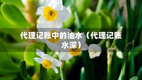 代理記賬中的油水（代理記賬水深）