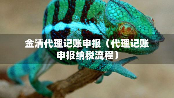 金清代理記賬申報（代理記賬申報納稅流程）
