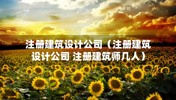 注冊建筑設(shè)計公司（注冊建筑設(shè)計公司 注冊建筑師幾人）