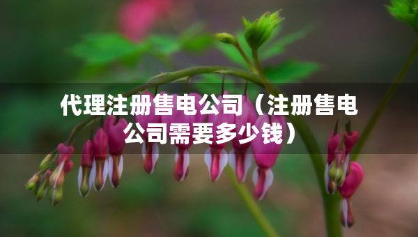 代理注冊(cè)售電公司（注冊(cè)售電公司需要多少錢(qián)）