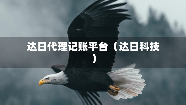 達日代理記賬平臺（達日科技）