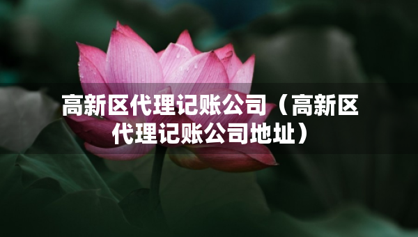 高新區(qū)代理記賬公司（高新區(qū)代理記賬公司地址）