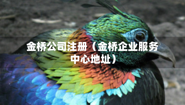 金橋公司注冊（金橋企業(yè)服務中心地址）