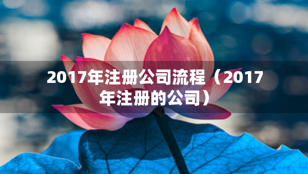 2017年注冊(cè)公司流程（2017年注冊(cè)的公司）
