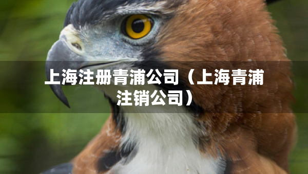 上海注冊(cè)青浦公司（上海青浦注銷公司）