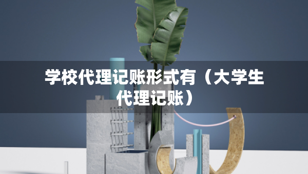 學(xué)校代理記賬形式有（大學(xué)生代理記賬）