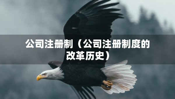 公司注冊制（公司注冊制度的改革歷史）