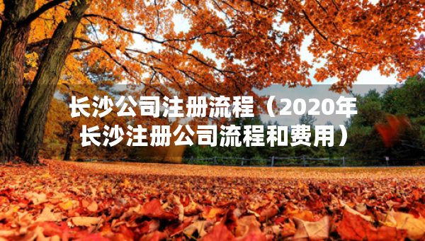 長(zhǎng)沙公司注冊(cè)流程（2020年長(zhǎng)沙注冊(cè)公司流程和費(fèi)用）