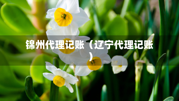 錦州代理記賬（遼寧代理記賬）