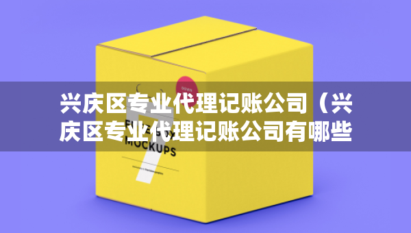 興慶區(qū)專業(yè)代理記賬公司（興慶區(qū)專業(yè)代理記賬公司有哪些）