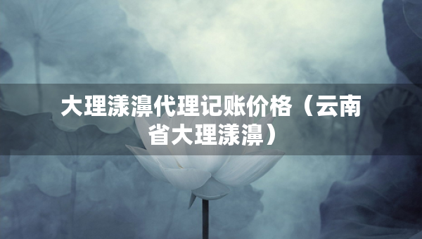 大理漾濞代理記賬價(jià)格（云南省大理漾濞）
